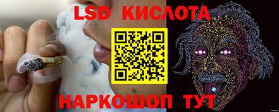 прущие грибы Апрелевка